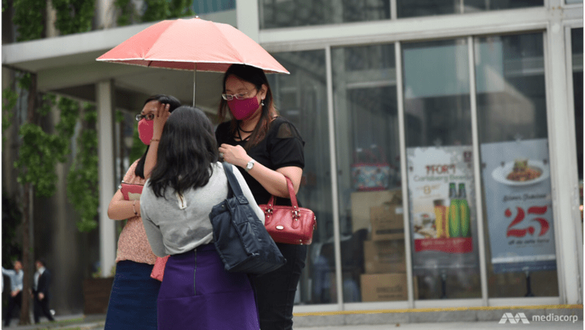 Jerebu mungkin landa S'pura; tompok panas dikesan di Johor pada hari kedua