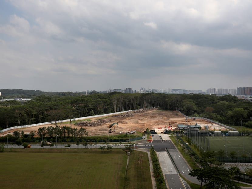 Aerial view on Feb 17, 2021, of a forest parcel in Kranji that JTC said its contractor had “erroneously” begun deforesting.