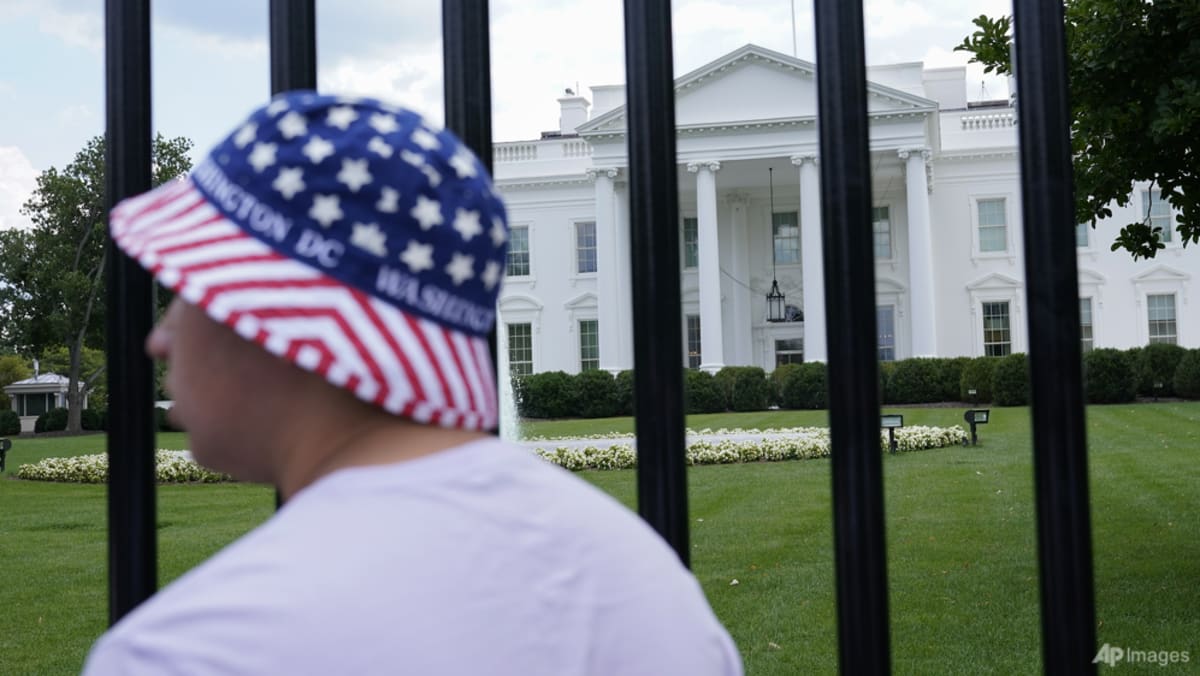 There’s Biden and there’s Trump. Who else wants to be US president?