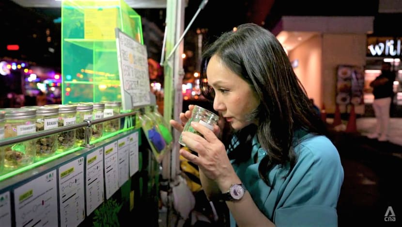 Cannabis-flavoured gummies, ‘CBD’ massages in Thailand: Why Singaporean visitors must beware Cannabis-flavoured gummies, ‘CBD’ massages in Thailand: Why Singaporean visitors must beware