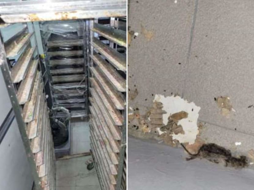 Photos showing a dead mouse found in the bakery's dough processing room (right) and a dirty trolley in its chiller area.