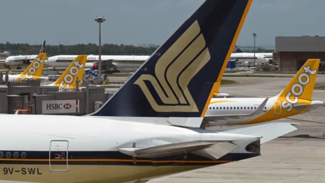 三家公司公布新马VTL指定航班 新年票价已飙高