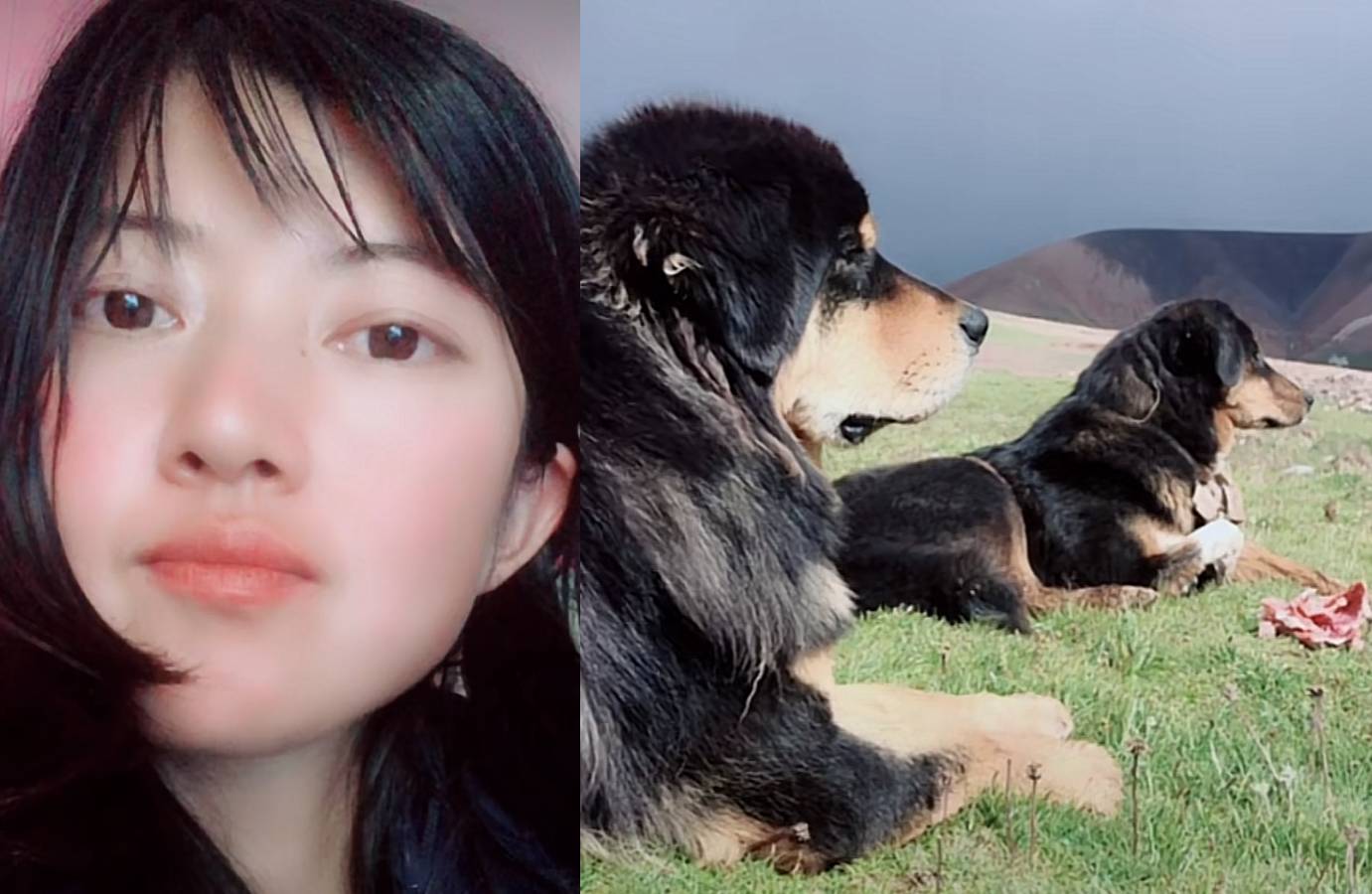 22-Year-Old Chinese Streamer, Who Was Travelling Solo Around Tibet, Dies  After Tragic Live Stream Mishap - 8days