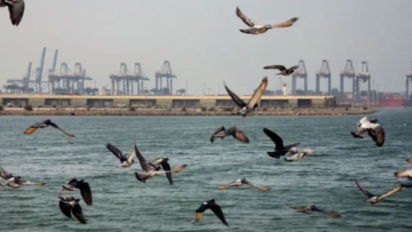 Kapal minyak berdaftar S'pura meletup di pelabuhan Jeddah