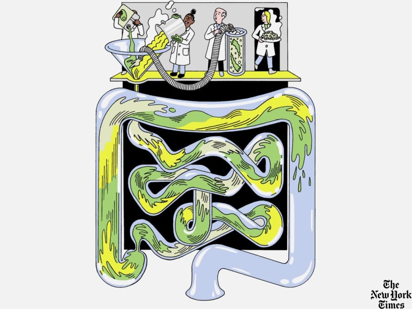Why is gut health taking over TikTok? Why is gut health taking over TikTok?