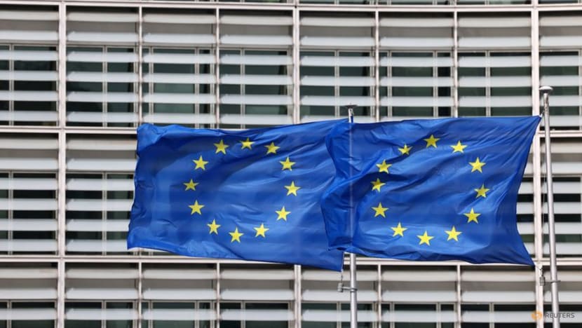 EU to probe if Indonesia circumventing biodiesel import duties