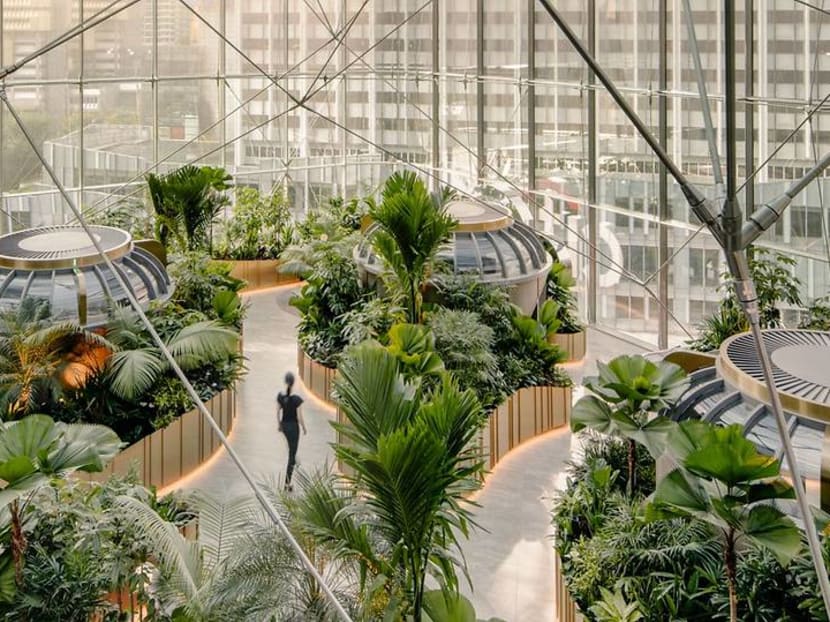 This refurbished space in Orchard Road is basically an office set in a garden This refurbished space in Orchard Road is basically an office set in a garden