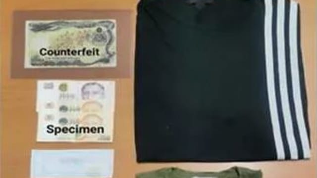 涉嫌在网上售卖胡姬花系列伪钞 两男子被捕