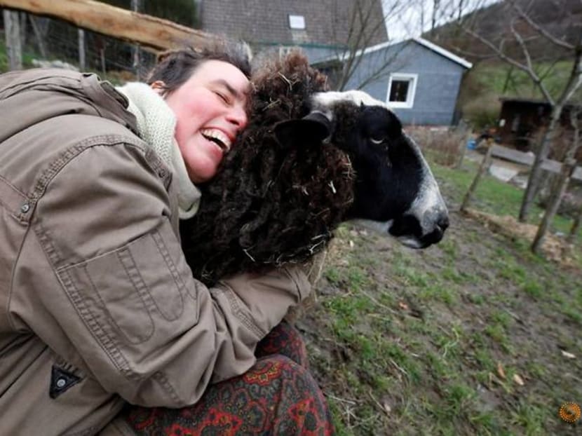 Feeling lonely in lockdown? Try hugging a sheep Feeling lonely in lockdown? Try hugging a sheep