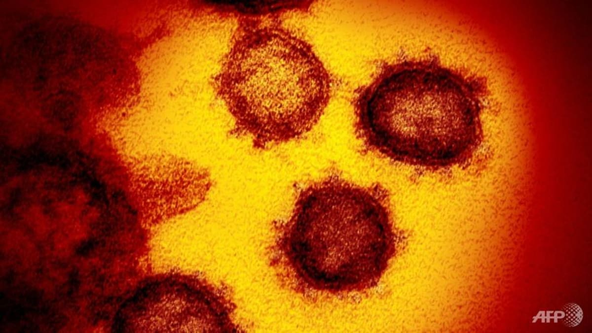 Infeksi COVID-19 dapat menurunkan kesuburan pada pria: Studi