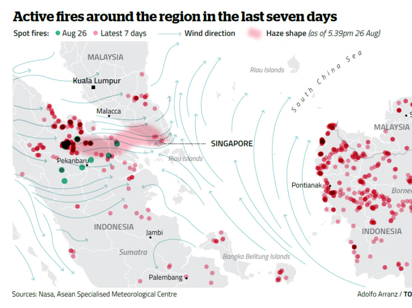 Active fires around Singapore in the last seven days. Sources: Sources: National Environment Agency, Global Forest Watch Fires-World Resources Institute. Graphics: Adolfo Arranz
