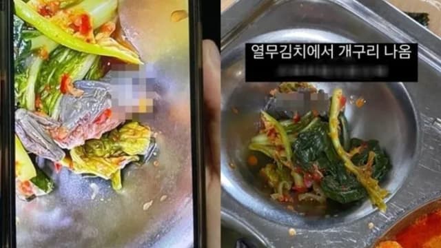 韩国高中午餐惊现半只死青蛙 当局展开调查