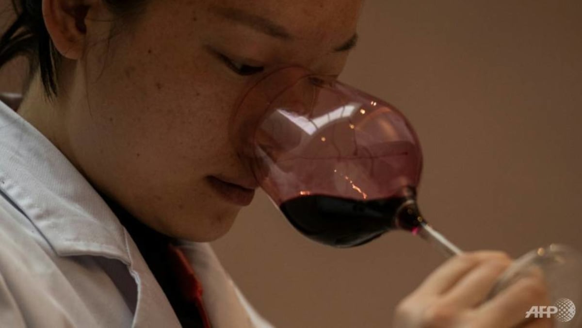 Komentar: Bisakah Tiongkok memproduksi anggur anggur sebaik Prancis?