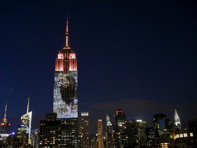 Photos of endangered animals shine on Empire State Building