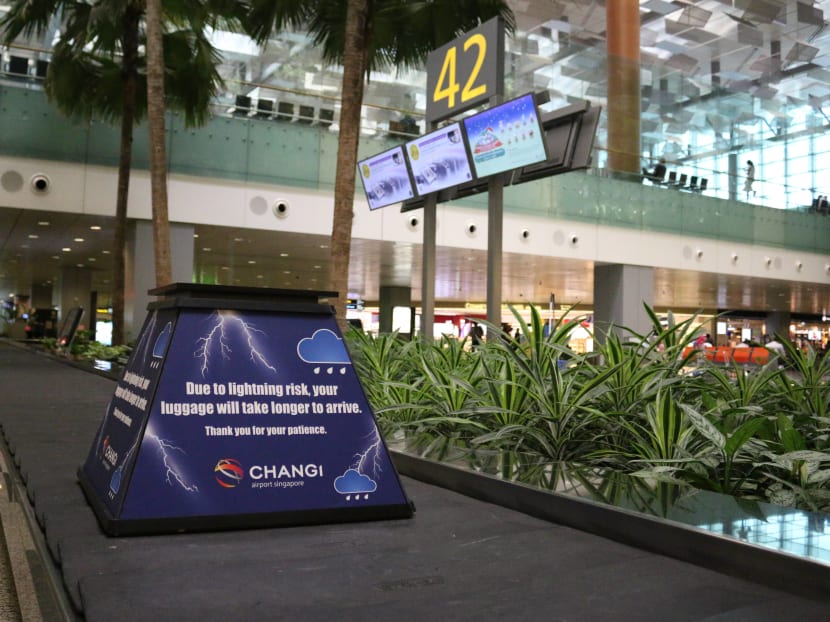 Changi airport deals baggage damage