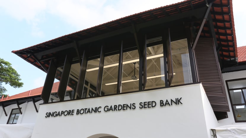 Singapore opens first seed bank to protect regional plant diversity against climate change Singapore opens first seed bank to protect regional plant diversity against climate change