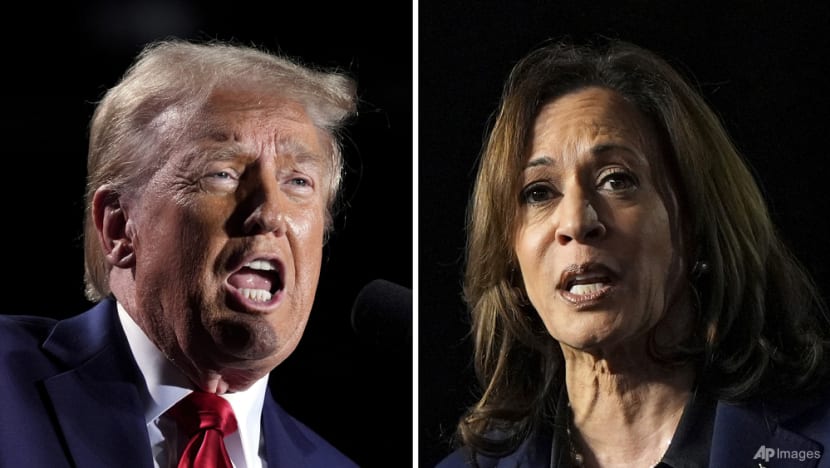 Trump vs Harris: Competing visions for a warming world