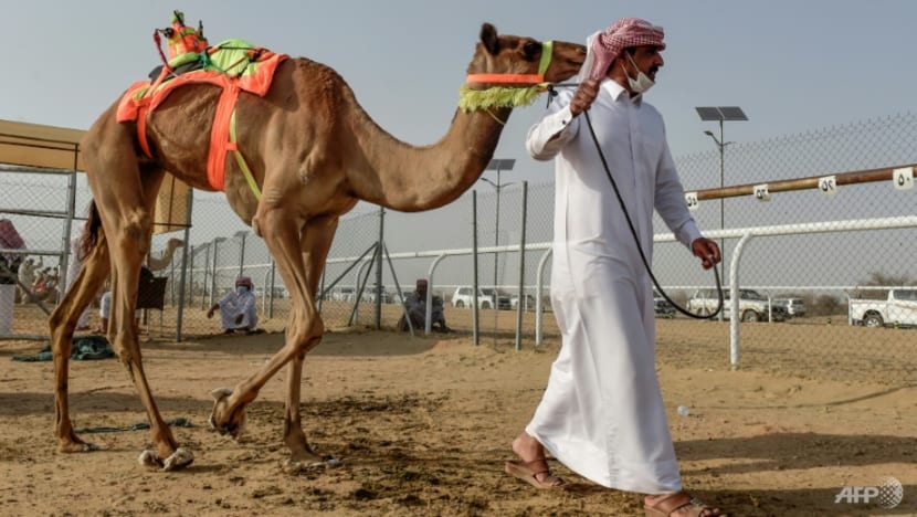 Eyeing tourism boom, Saudi Arabia scrambles to train hotel staff Eyeing tourism boom, Saudi Arabia scrambles to train hotel staff