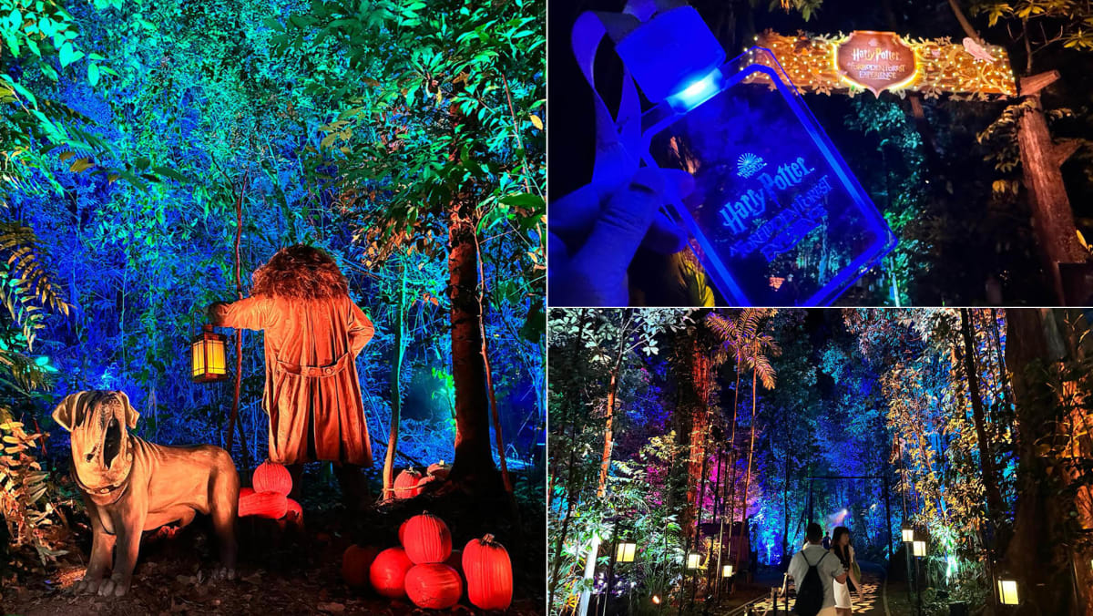 What To Expect At The Harry Potter Forbidden Forest Experience In