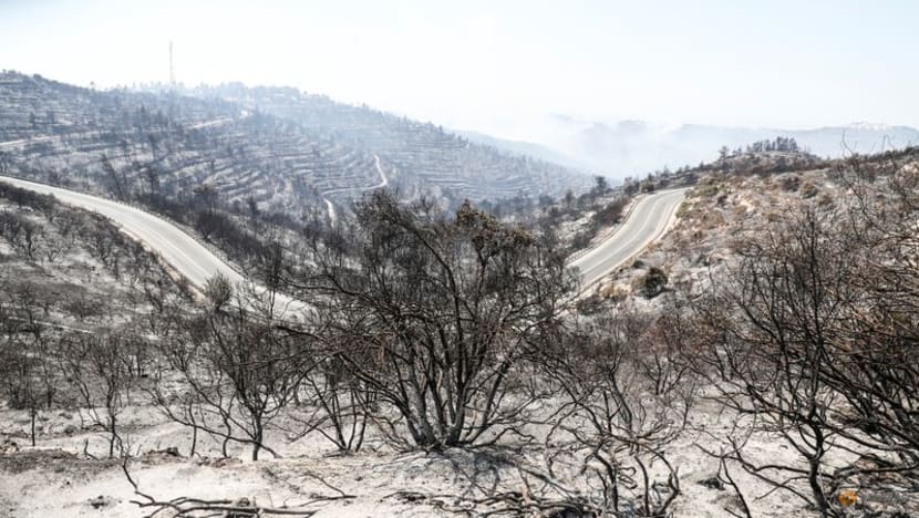 Firefighters evacuate towns outside Jerusalem as wildfire blazes Firefighters evacuate towns outside Jerusalem as wildfire blazes