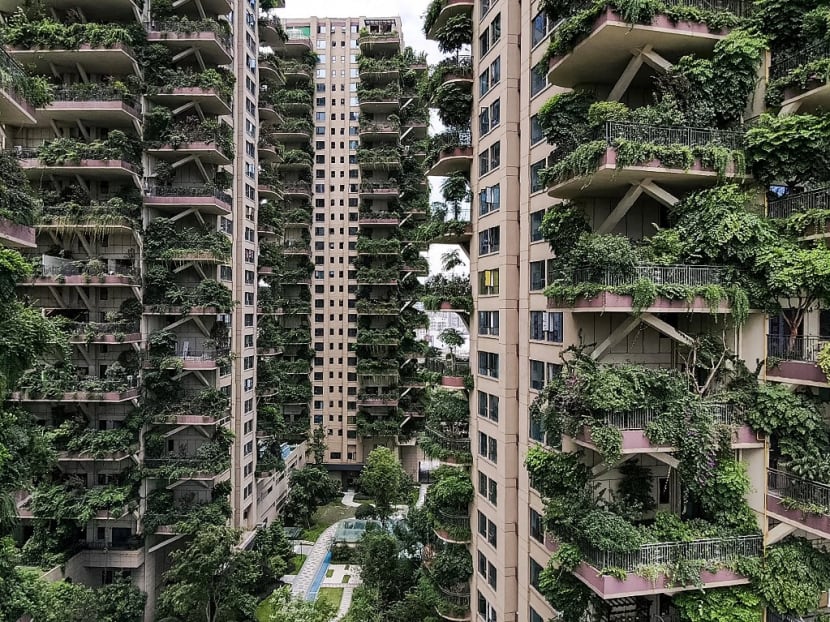 Welcome to the jungle Plants overrun Chinese apartment blocks TODAY