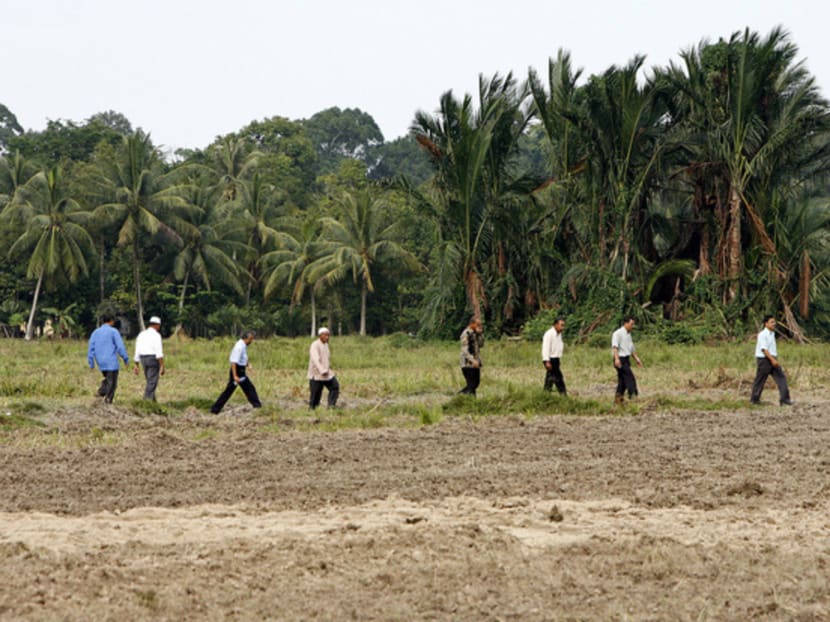 Villagers walking through a dry paddy field in Malaysia. As the country suffers a severe drought, rice farmers in Penang have been advised to hold off planting until the situation improves. Photo: REUTERS