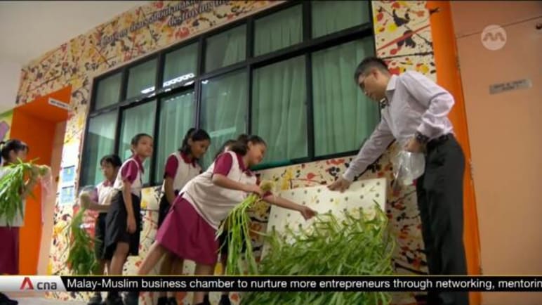 How schools encourage sustainable practices among students | Video