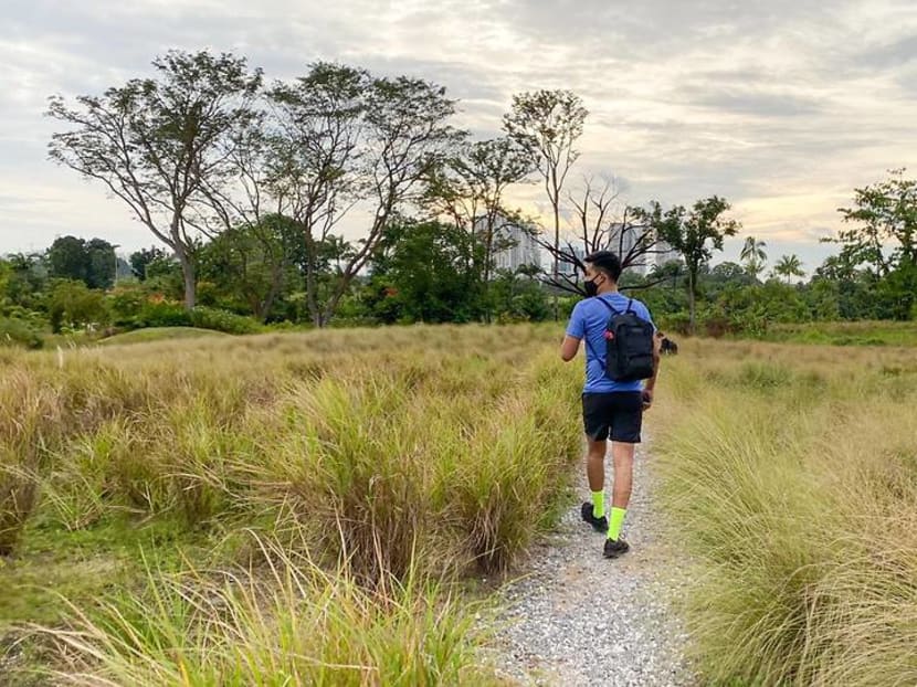 CNA explores Singapore on foot (Day 1): The lone tree and the longer-than-expected walk CNA explores Singapore on foot (Day 1): The lone tree and the longer-than-expected walk
