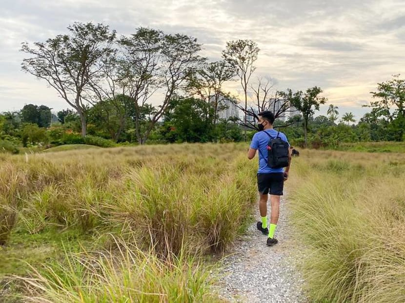 CNA explores Singapore on foot (Day 1): The lone tree and the longer-than-expected walk 