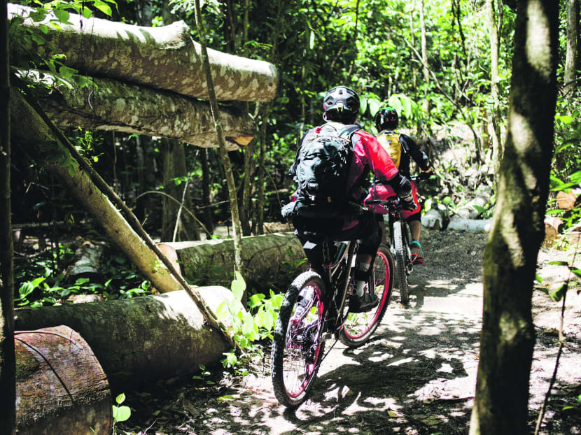 Gallery: The best bike trails to try this weekend