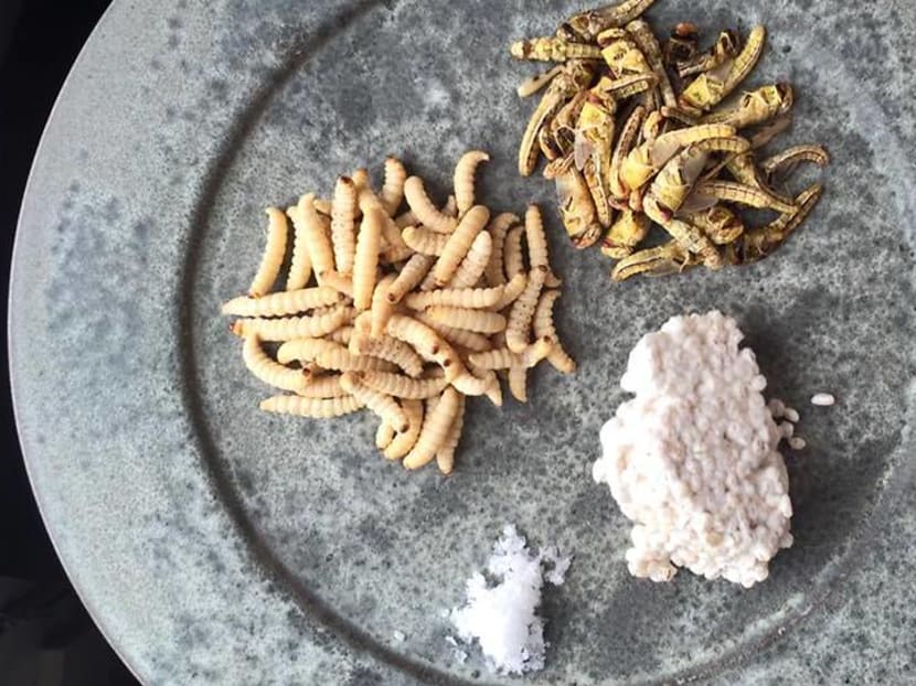 Adventures in DIY fermentation: From onion-chilli paste to grasshopper garum Adventures in DIY fermentation: From onion-chilli paste to grasshopper garum