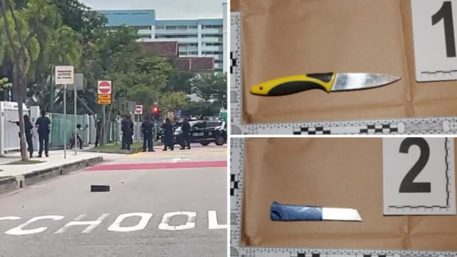 持刀与警方对峙 53岁妇女被还押进行精神评估
