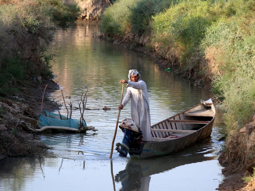 Iraq marshlands named UNESCO world heritage site