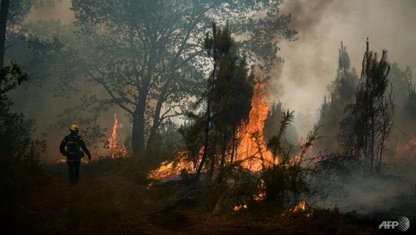 Europe burns as heatwave breaks temperature records
