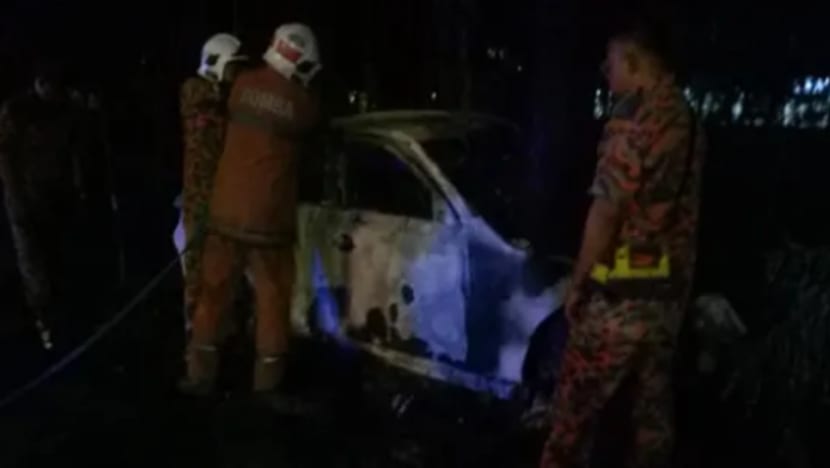 Pemandu rentung, BMW terbakar selepas rempuh pokok
