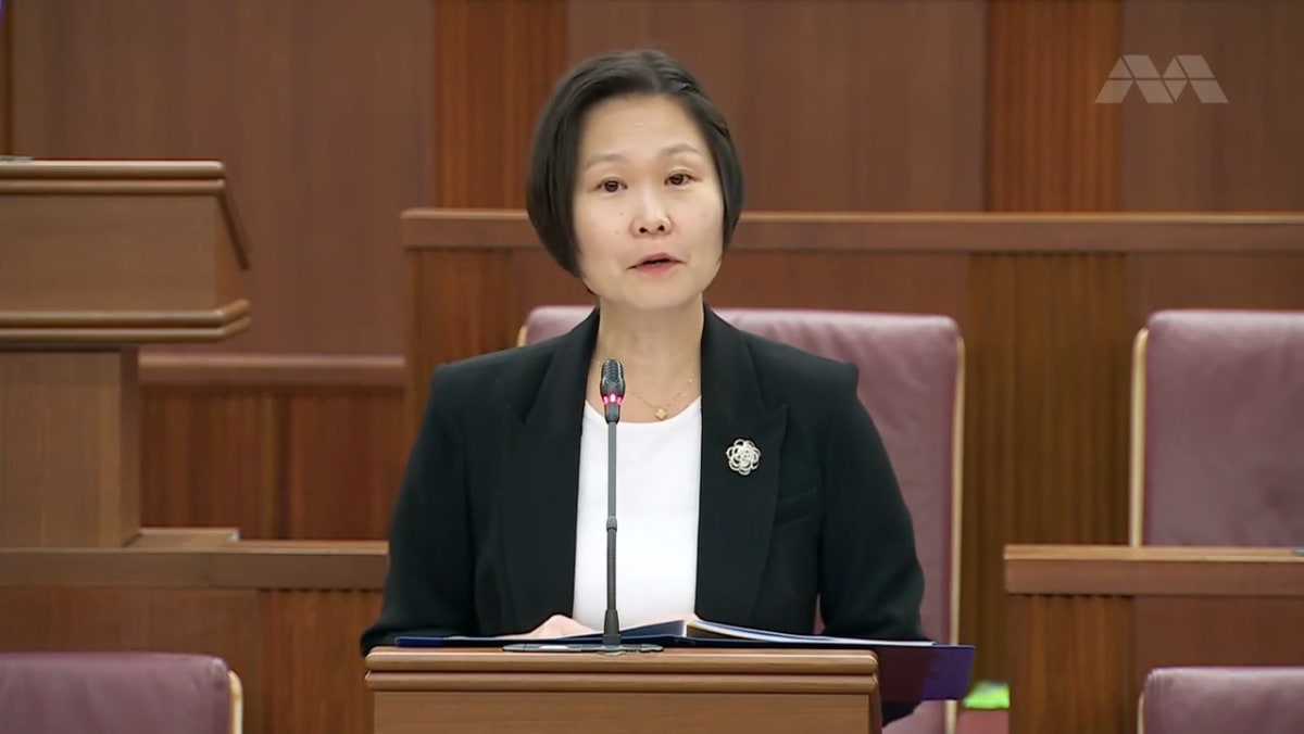 Passing Of Skills Development Levy Amendment Bill CNA passing-of-skills-development-levy-amendment-bill-cna