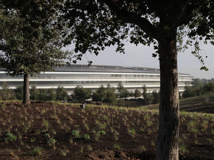 Apple's new campus in Cupertino, California, Sept 13, 2017 (SGT). Photo: The New York Times