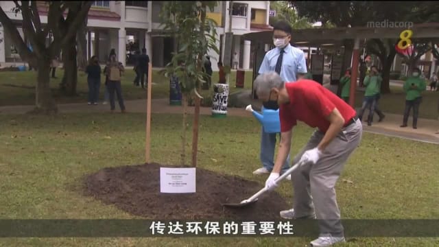 宏茂桥市镇会开展计划 将废弃树木制成再生木凳