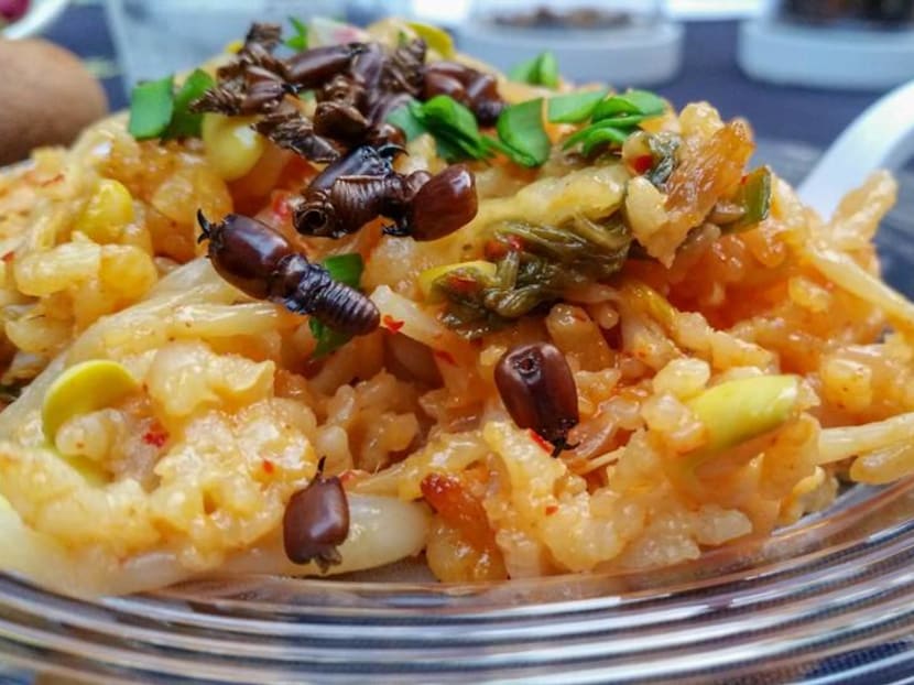 Ants in your rice? Eat up if researchers succeed in growing bugs for food Ants in your rice? Eat up if researchers succeed in growing bugs for food