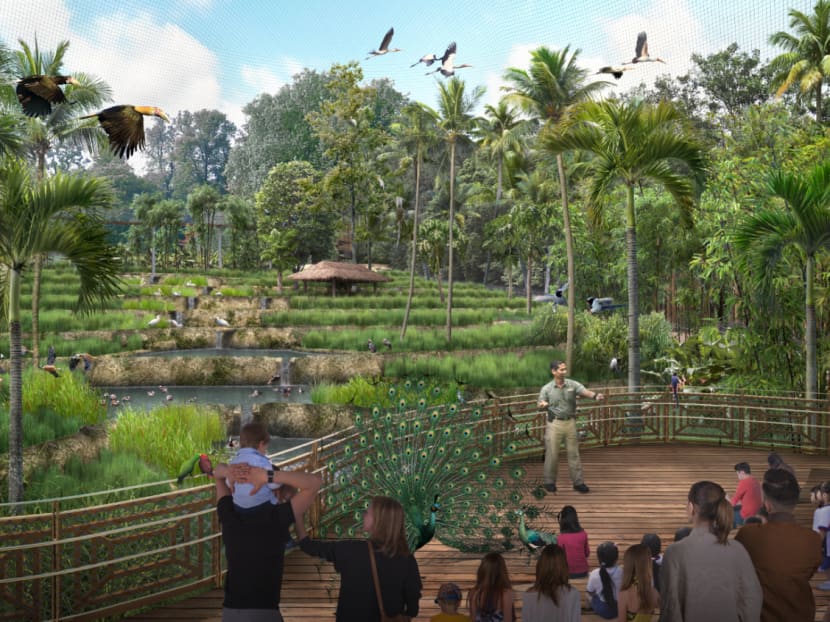 Artists' illustration of Wings of Asia that recreates the tranquil bamboo forests and sloping rice terraces of Southeast Asia. 