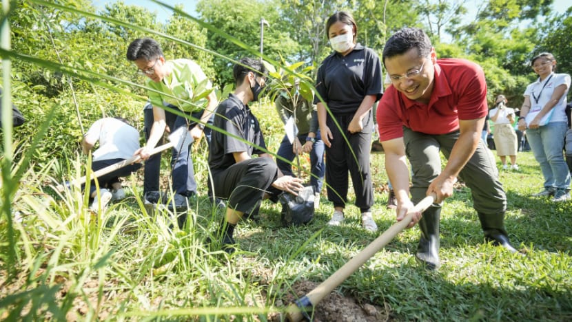 Gardens by the Bay launches Wonderful Wetlands series to mark 10th anniversary