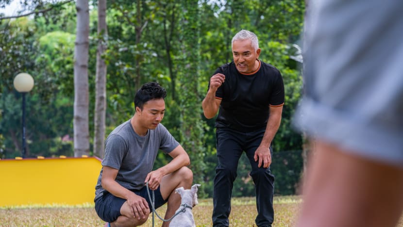 Is Your Dog Misbehaving? It’s Not The Dog, It’s You, Says Cesar Millan 