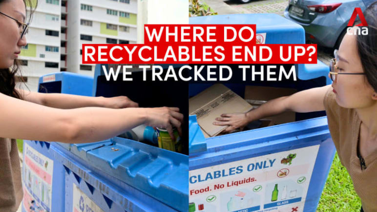 Where do recyclables go after they're put in blue recycling bins? We tracked them | Video