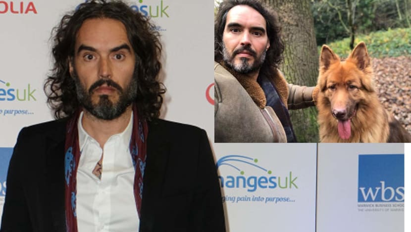 Russell Brand Devastated After His Dog Mauls Wallaby