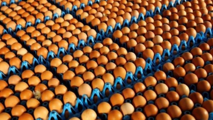 Kerajaan M'sia tidak mahu tergesa-gesa sambung eksport telur ke S'pura