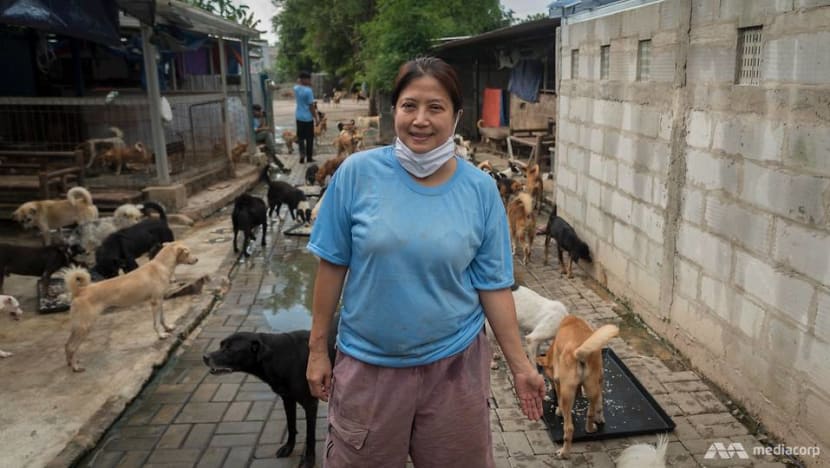 Meet the Indonesian doctor who has rescued more than 1,000 stray and abandoned dogs Meet the Indonesian doctor who has rescued more than 1,000 stray and abandoned dogs