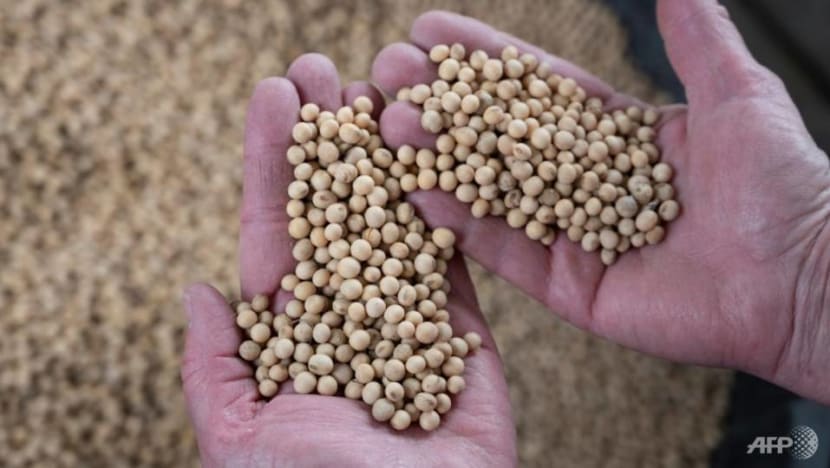 China firms stop purchases of US farm produce China firms stop purchases of US farm produce