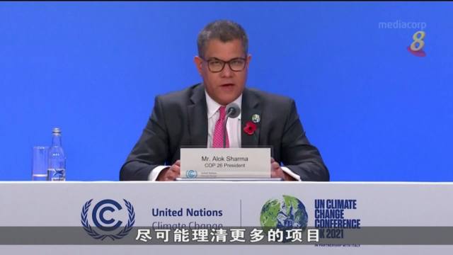 联合国气候大会主席夏尔玛吁各国加快谈判进度