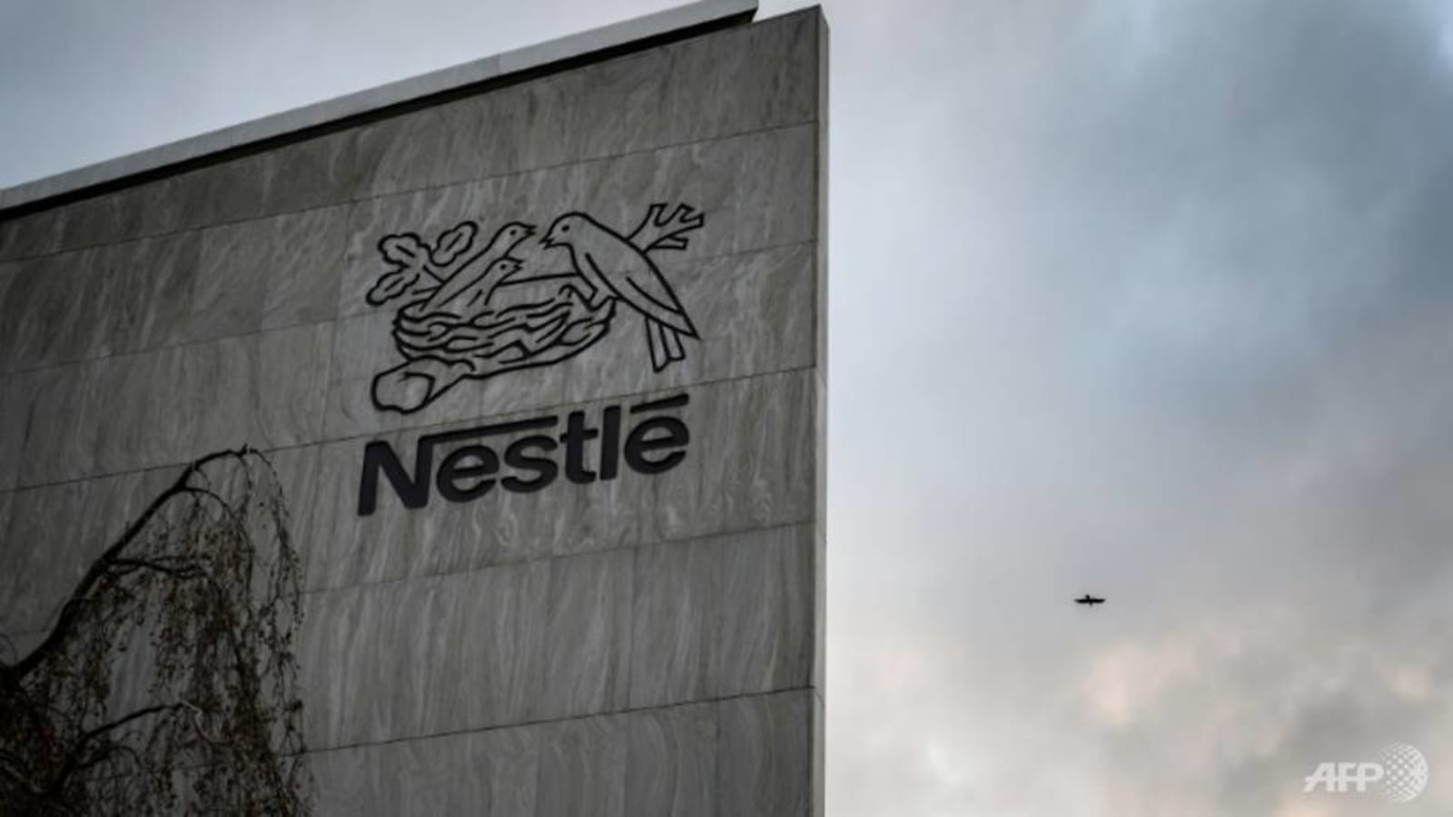 New Nestle plan to combat child labour on cocoa farms