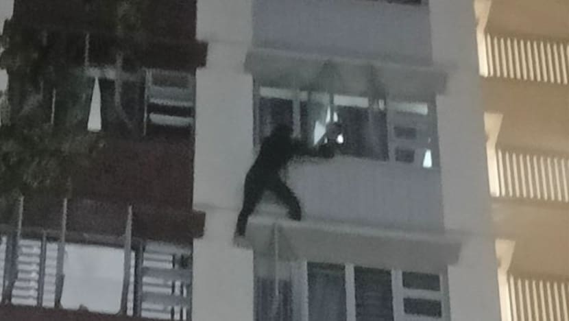 cnbsuspect